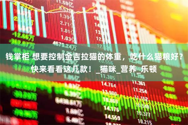 钱掌柜 想要控制金吉拉猫的体重，吃什么猫粮好？快来看看这几款！_猫咪_营养_乐顿