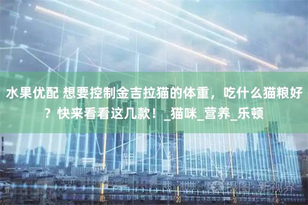 水果优配 想要控制金吉拉猫的体重，吃什么猫粮好？快来看看这几款！_猫咪_营养_乐顿