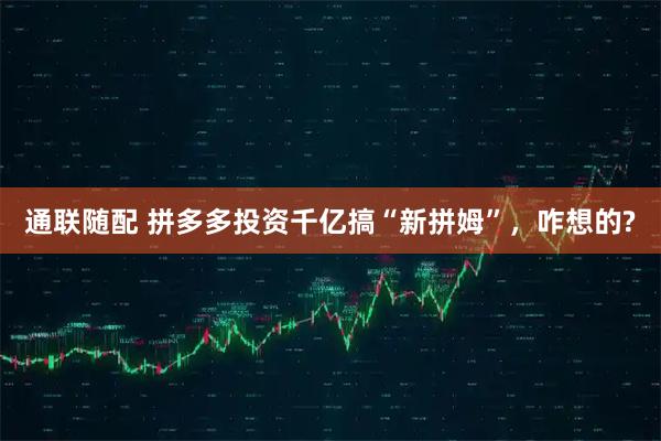 通联随配 拼多多投资千亿搞“新拼姆”，咋想的?