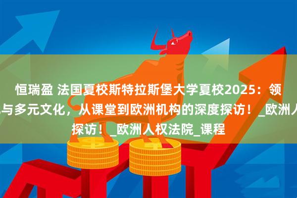 恒瑞盈 法国夏校斯特拉斯堡大学夏校2025：领略欧洲一体化与多元文化，从课堂到欧洲机构的深度探访！_欧洲人权法院_课程