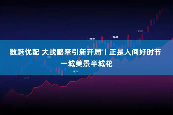 数魅优配 大战略牵引新开局丨正是人间好时节 一城美景半城花