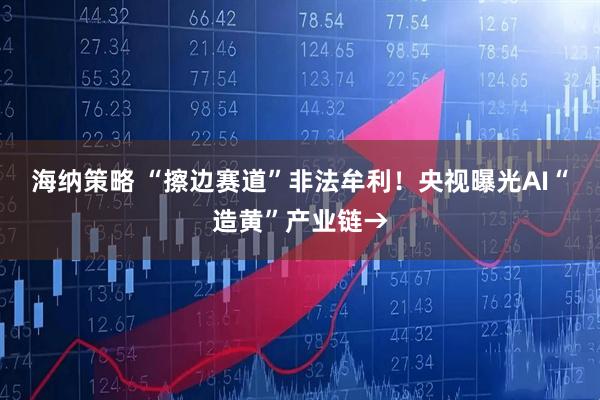 海纳策略 “擦边赛道”非法牟利！央视曝光AI“造黄”产业链→