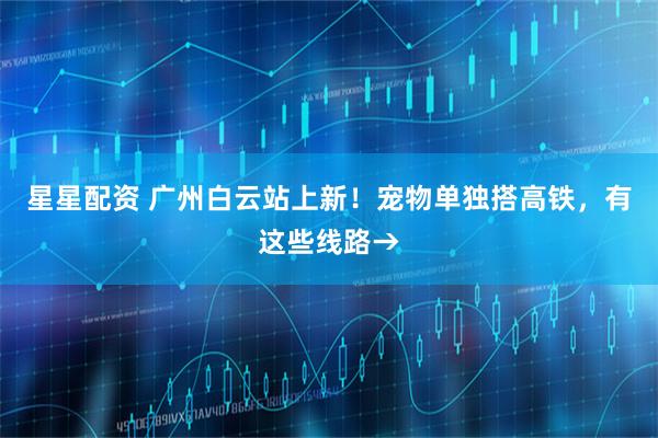 星星配资 广州白云站上新！宠物单独搭高铁，有这些线路→